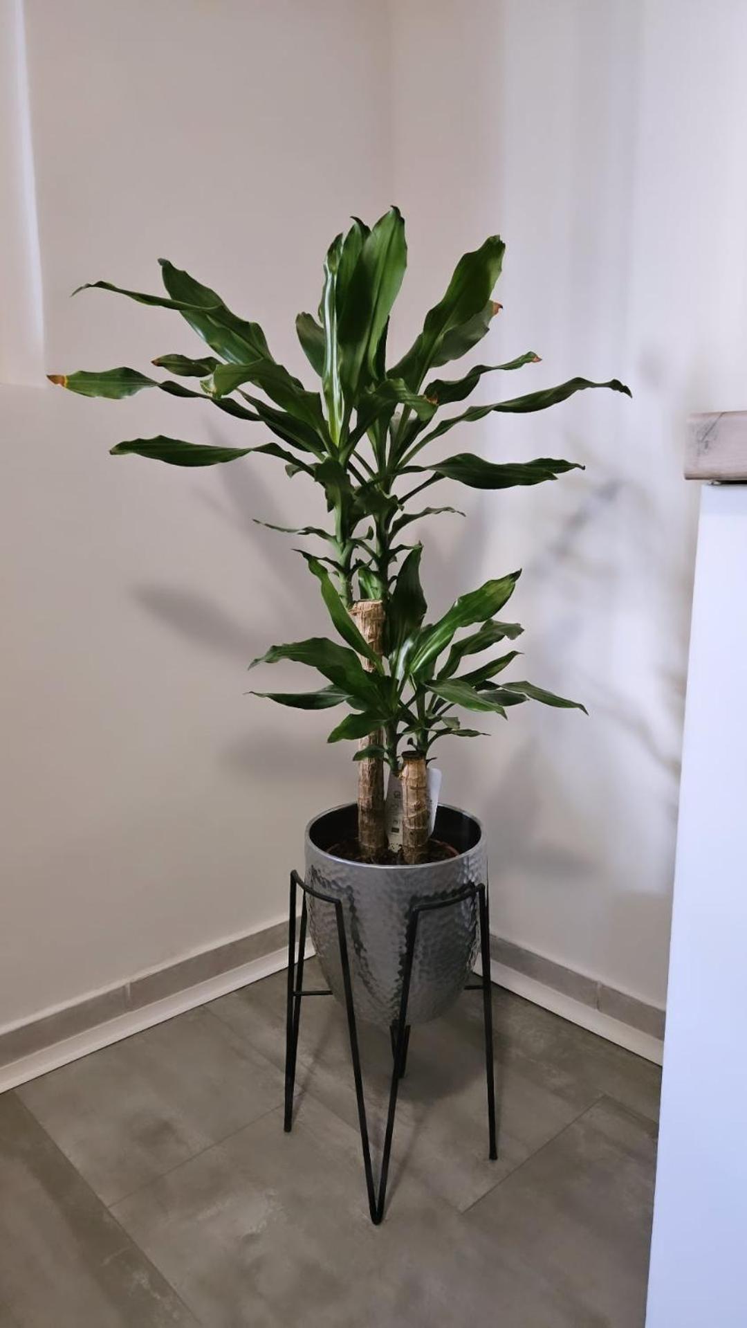 Apartment Gago سبليت المظهر الخارجي الصورة